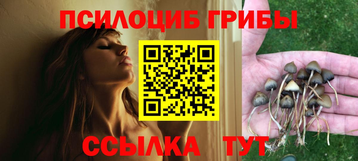 Галлюциногенные грибы Psilocybe Канаш