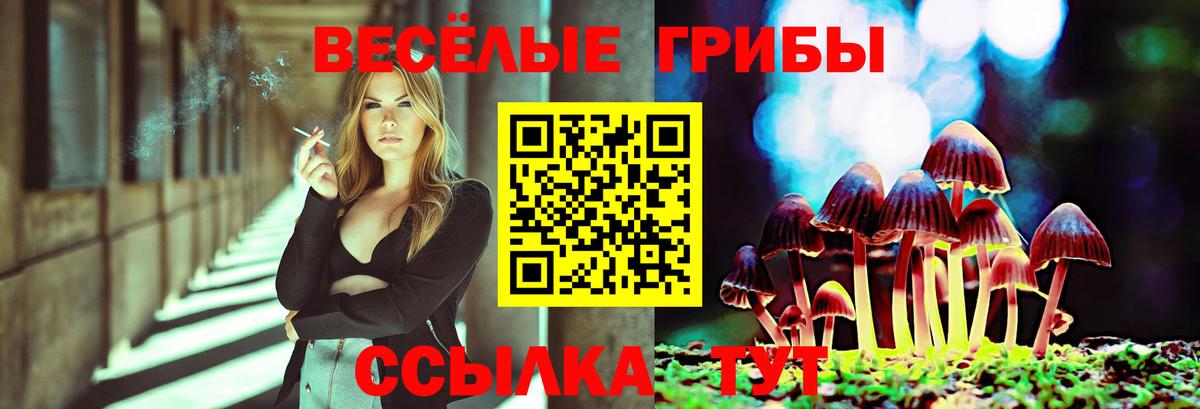 Галлюциногенные грибы GOLDEN TEACHER  Псилоцибиновые грибы MAGIC MUSHROOMS  Канаш  Вход с VPN 